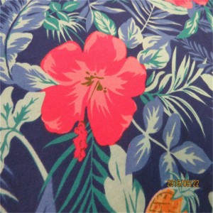 Printed Cotton Spandex Fabric