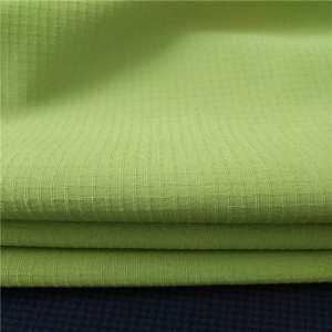 100%Poly 100D*100D 57/58” 255gsm