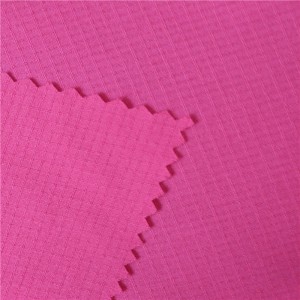 100%Poly 100D*100D 57/58” 255gsm